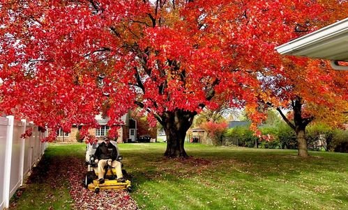 Spring and Fall Clean-Ups Service