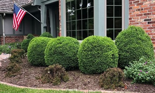 Your Legacy Lawn Trimming Services